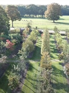 Dronevideo van Ten Hoven Bomen